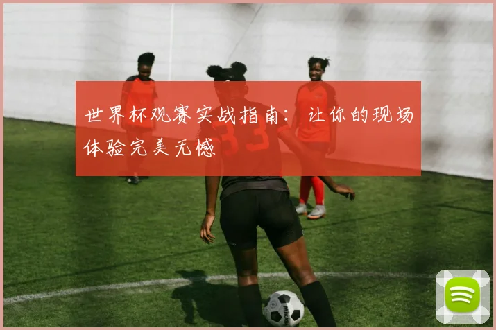 世界杯观赛实战指南：让你的现场体验完美无憾