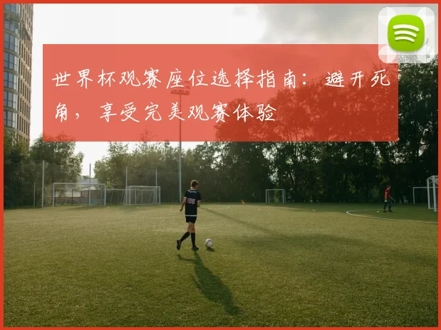 世界杯观赛座位选择指南：避开死角，享受完美观赛体验