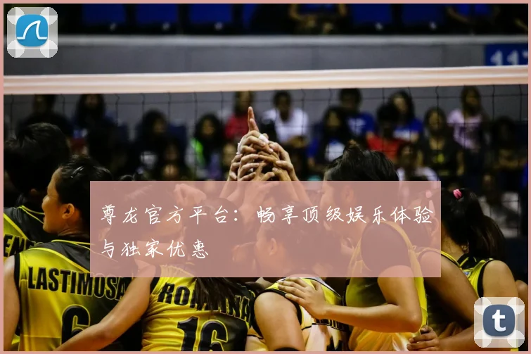 尊龙官方平台：畅享顶级娱乐体验与独家优惠