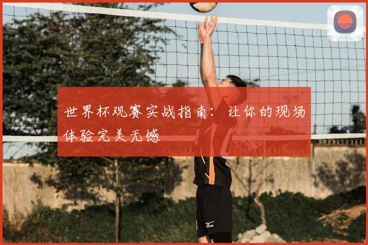 世界杯观赛实战指南：让你的现场体验完美无憾